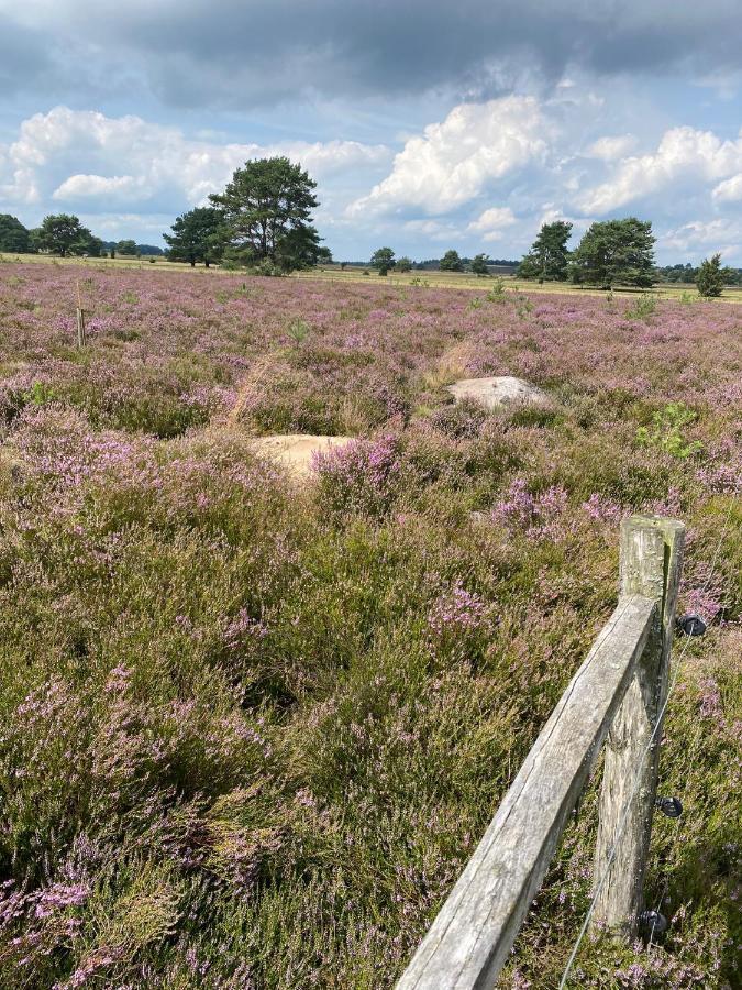 Holiday In Der Lueneburger Heide Биспинген Экстерьер фото